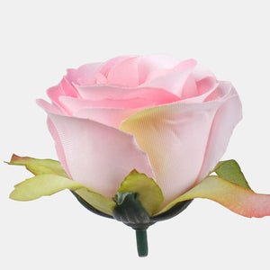 Roosa