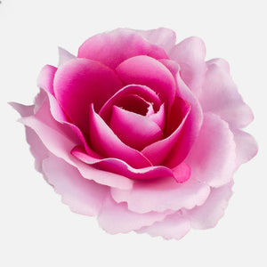 Roosa