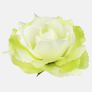 Heleroheline