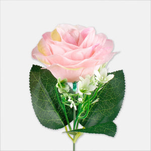 Roosa