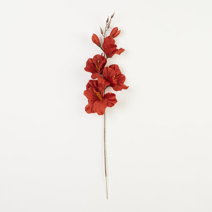 Ruskea gladiolus – tekokukka, satiini, 12 kpl