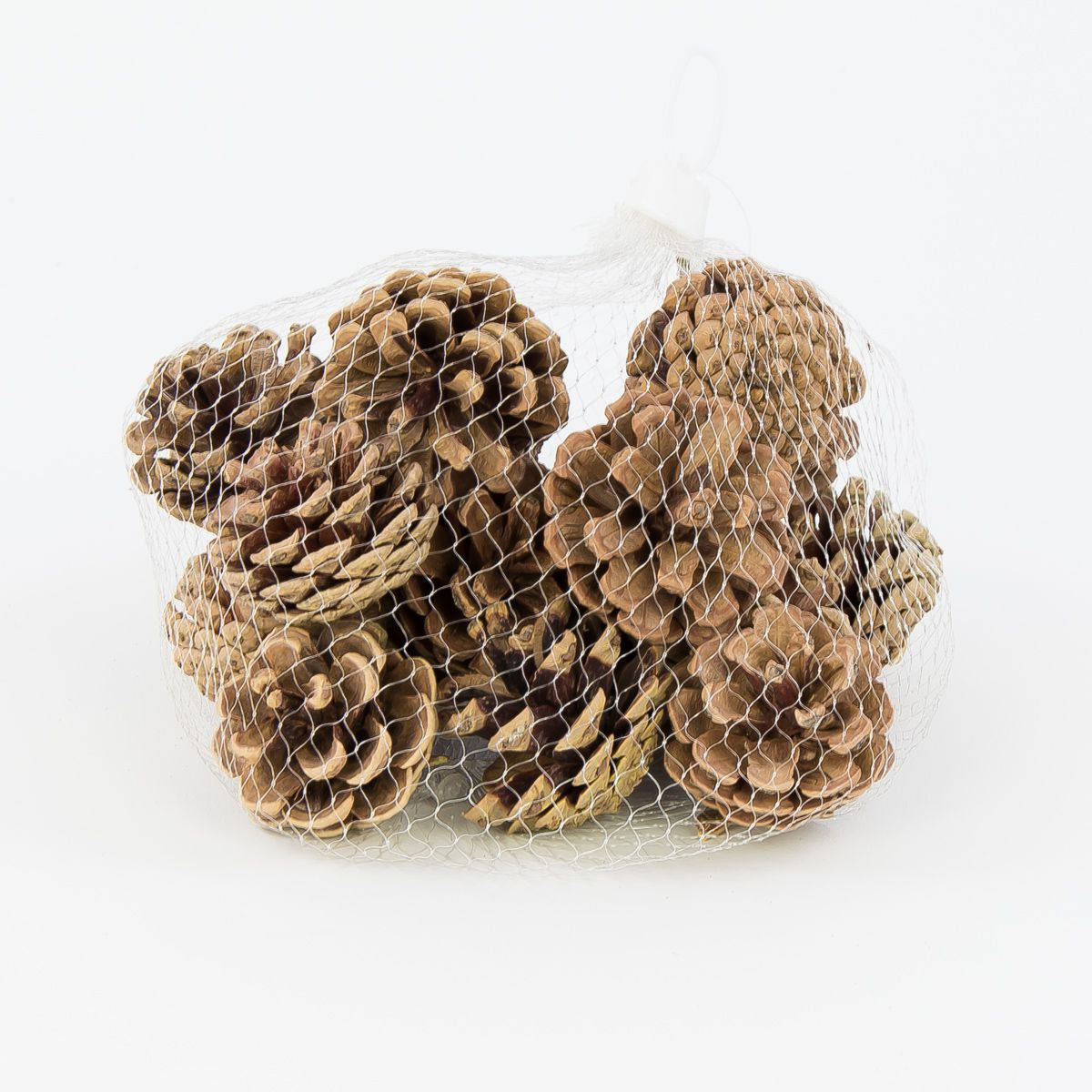 Ruskea mänty – kuivakasvikoriste, 3.5 cm, 18 kpl / pakkaus