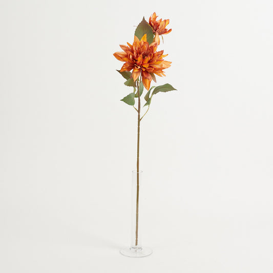 Ruskea tekodaalian kukkavarsi