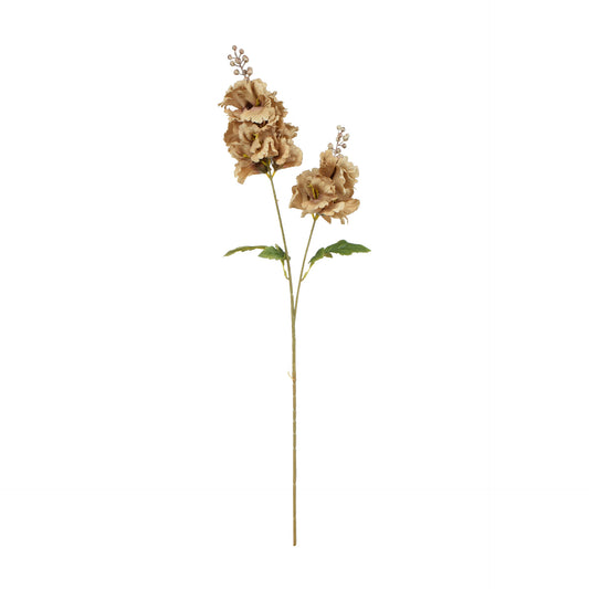 Ruskea tekohortensian kukkavarsi, 85 cm