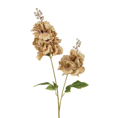 Ruskea tekohortensian kukkavarsi, 85 cm