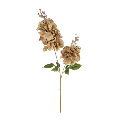 Ruskea tekohortensian kukkavarsi, 85 cm