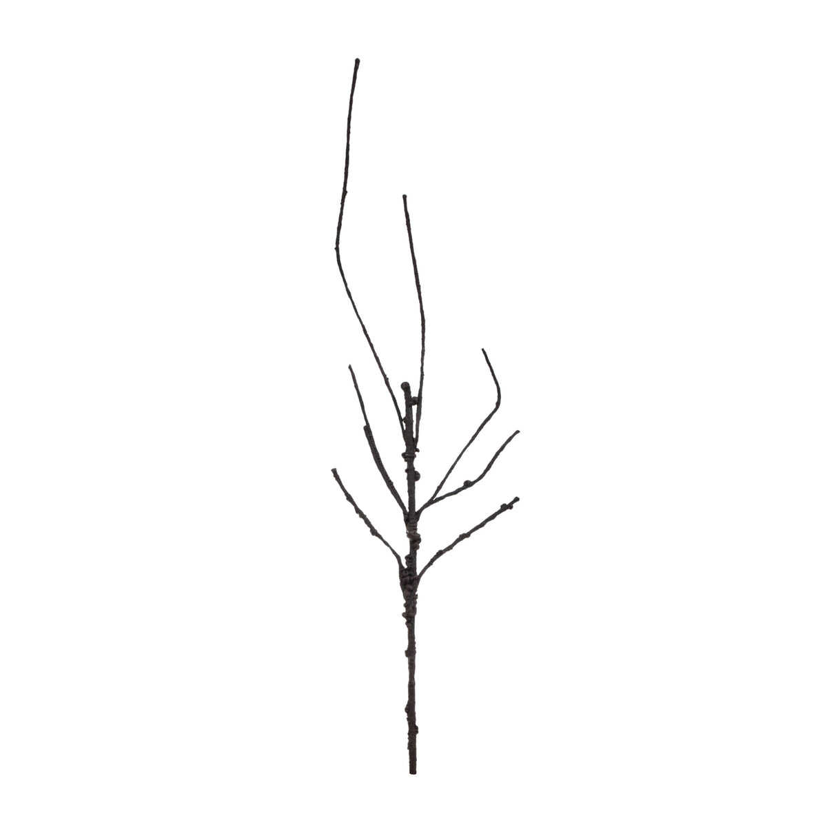 Ruskea tekokasvi, 60 cm