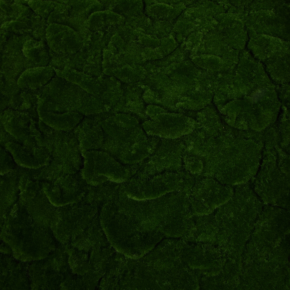 Sammal – tekokasvi, 2 m
