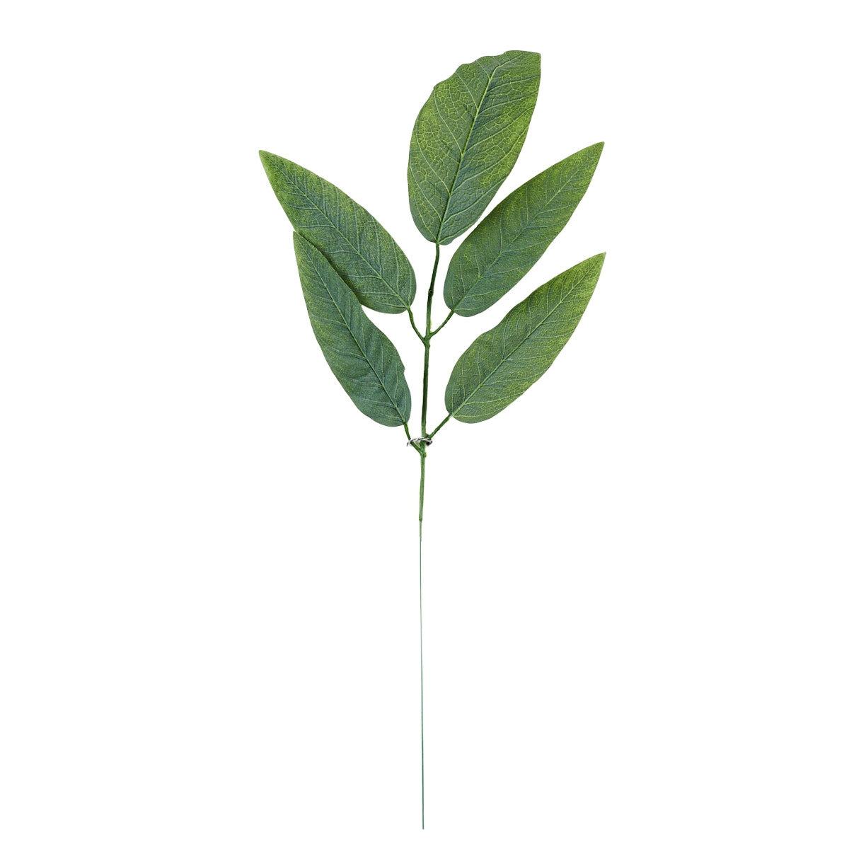 Sammal – tekolehti, 57 cm, 12 kpl
