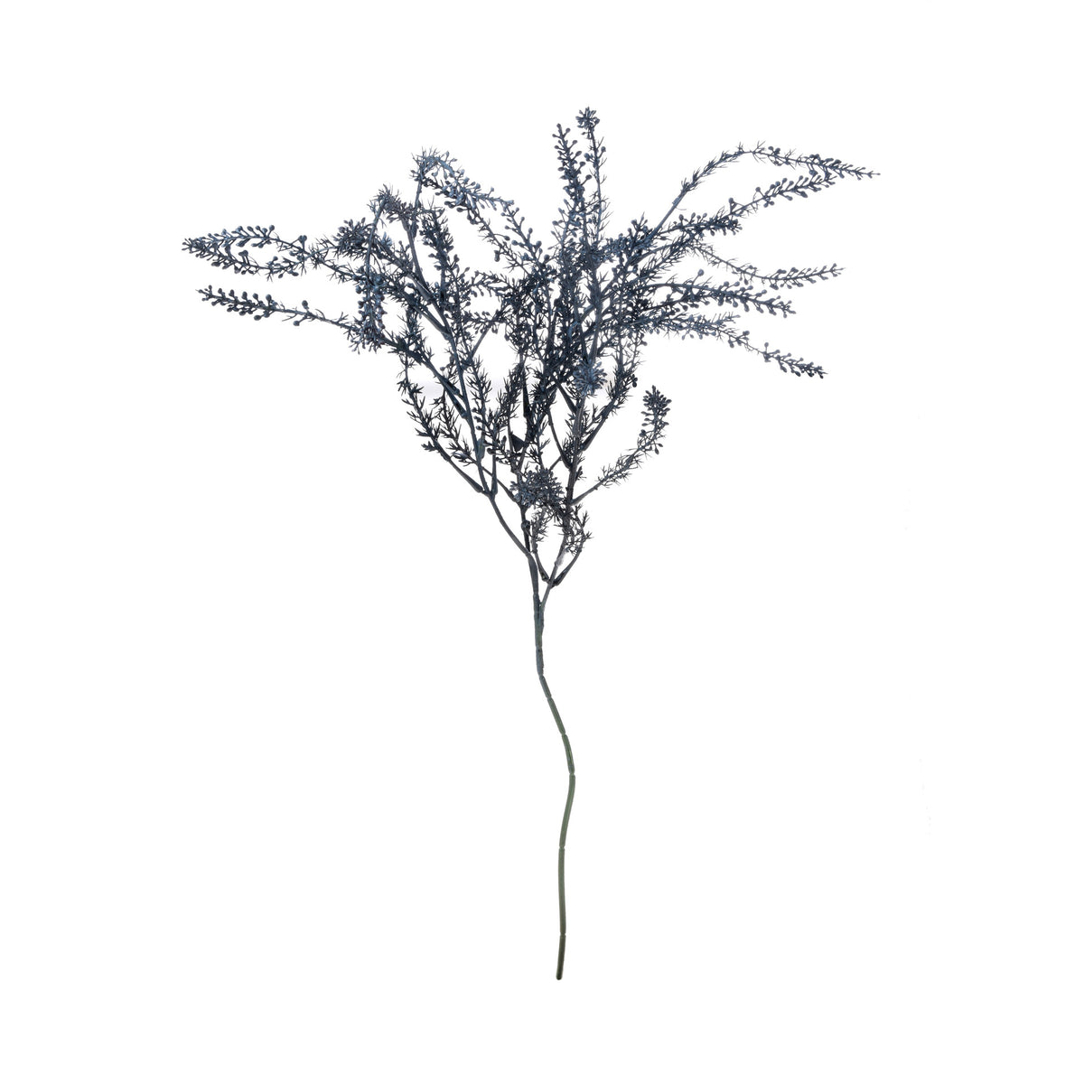 Sininen koristeoksa, 80 cm