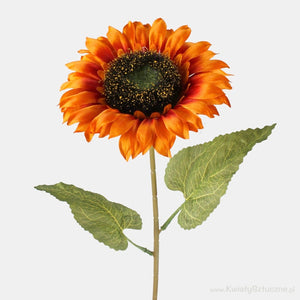 Oranž