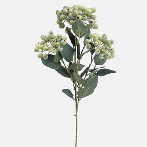 Heleroheline
