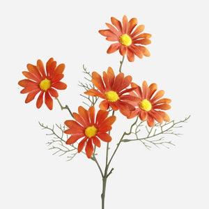 Oranž