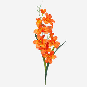 Oranž
