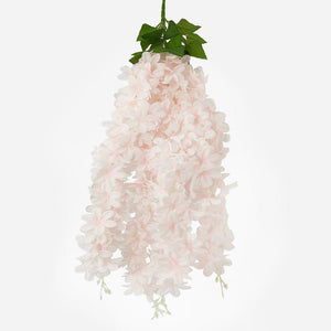 Roosa