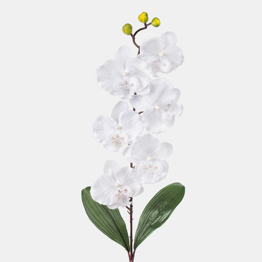 Valge orhidee kunstlill 78 cm - Kunstlilled