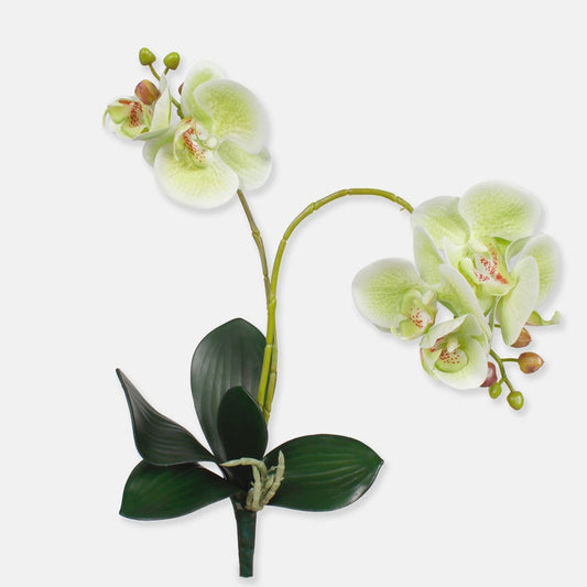 Heleroheline orhidee kunstlill 50 cm - Kunstlilled
