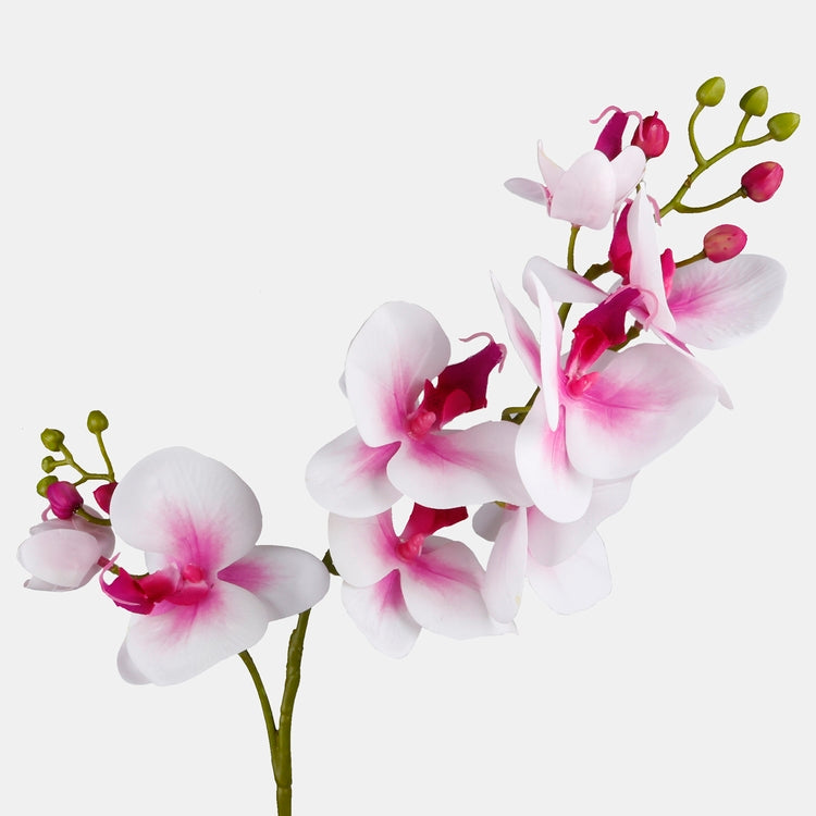 Valge-roosa orhidee kunstlill 82 cm - Kunstlilled