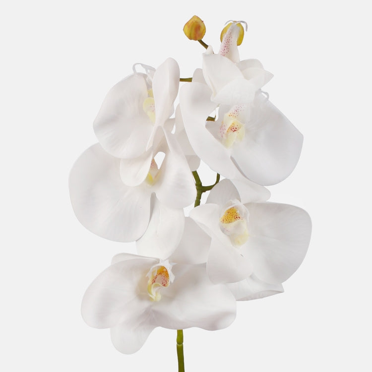 Valge orhidee kunstlill 90 cm - Kunstlilled