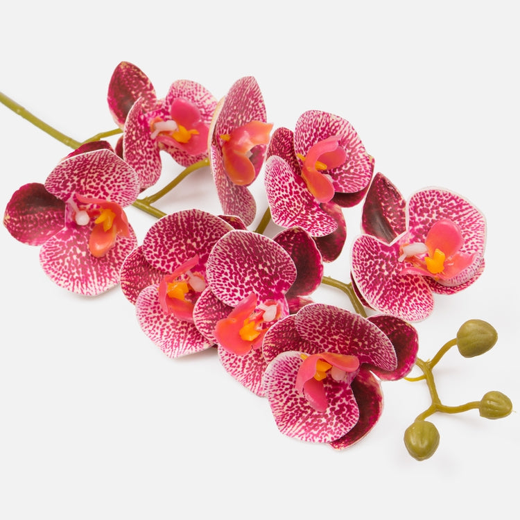 Burgundia orhidee kunstlill 78 cm - Kunstlilled