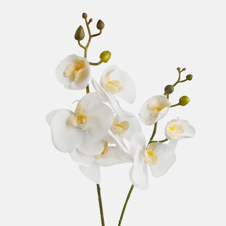 Kreemjas orhidee kunstlill 55 cm - Kunstlilled