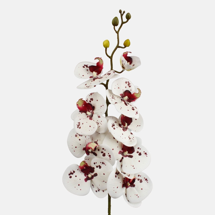 Valge veinipunane orhidee kunstlill 103 cm - Kunstlilled
