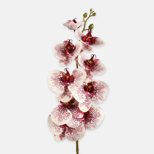 Valge veini-punane orhidee kunstlill 96 cm - Kunstlilled