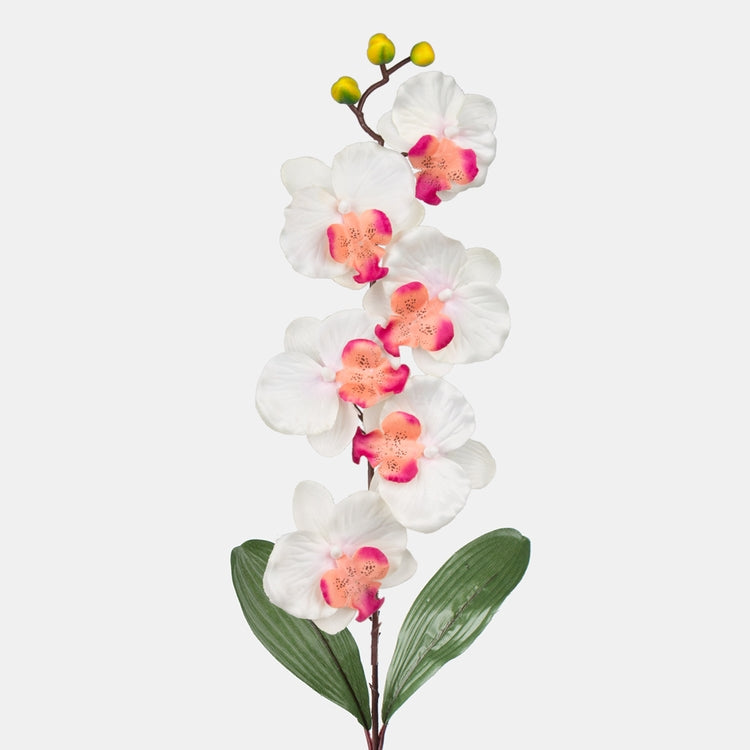 Orhidee kunstlill kreem-burgundia 78 cm - Kunstlilled
