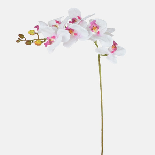 Valge-lilla orhidee kunstlill 79 cm - Kunstlilled