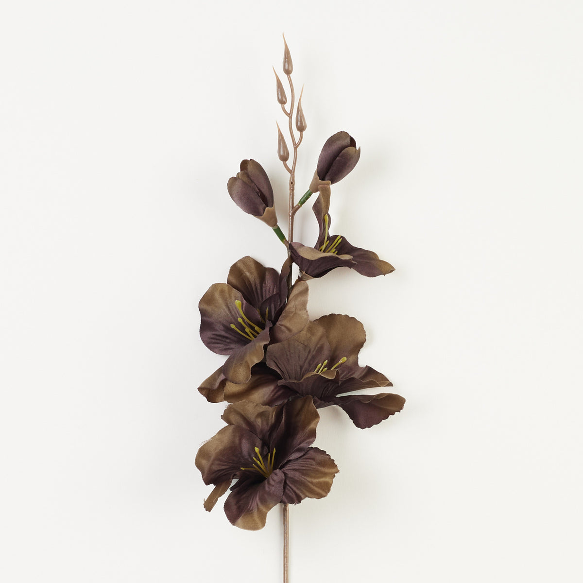 Syksyinen ruskea gladiolus – tekokukka, satiini, 12 kpl