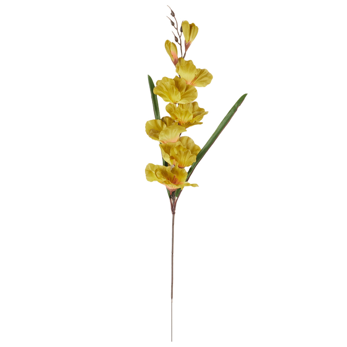 Syksyinen vihreä gladiolus – tekokukka