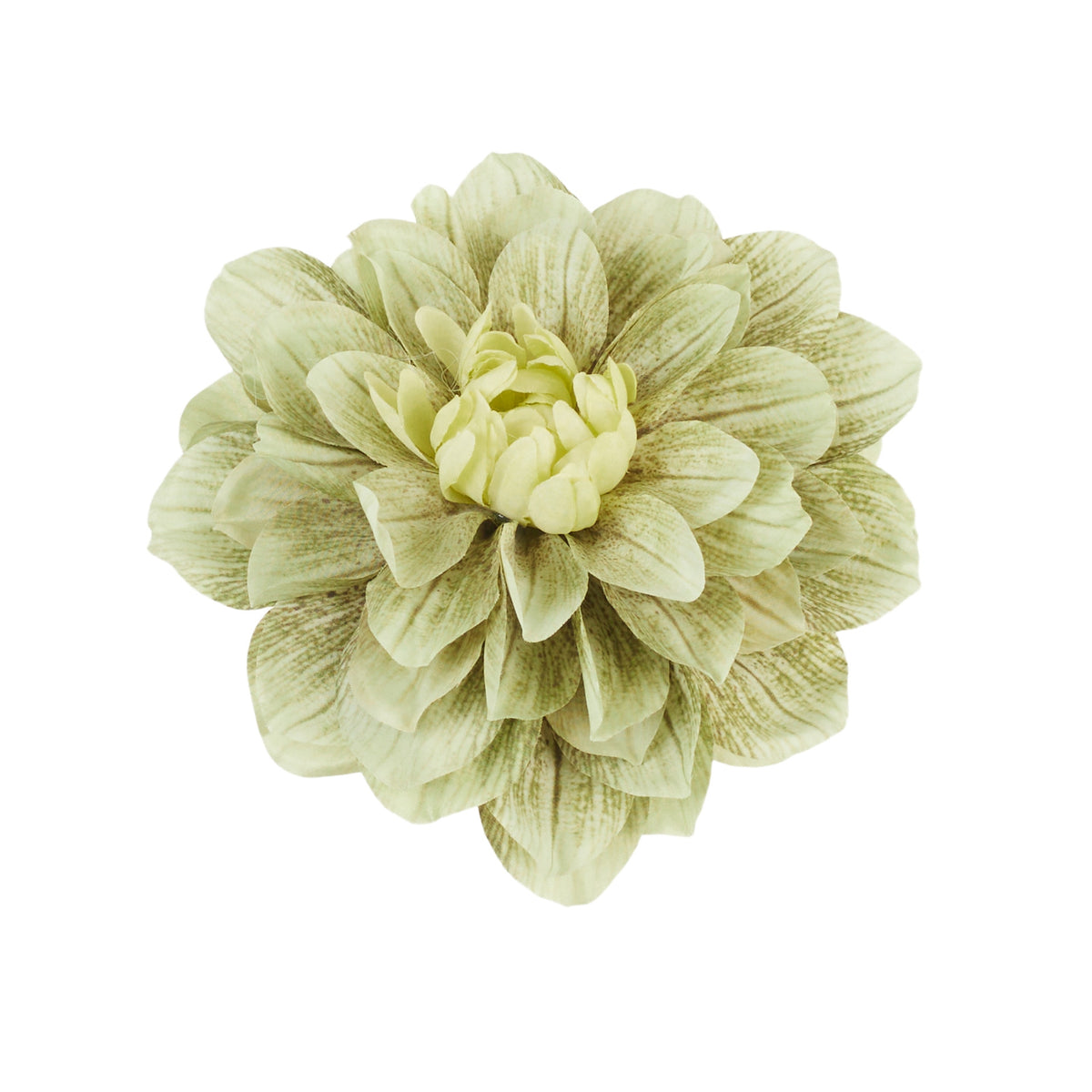 Tekodaalian kukkapää, 17 cm