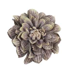 Tekodaalian kukkapää, 17 cm