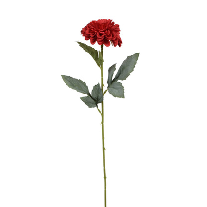 Tekodaalian kukkavarsi, 50 cm