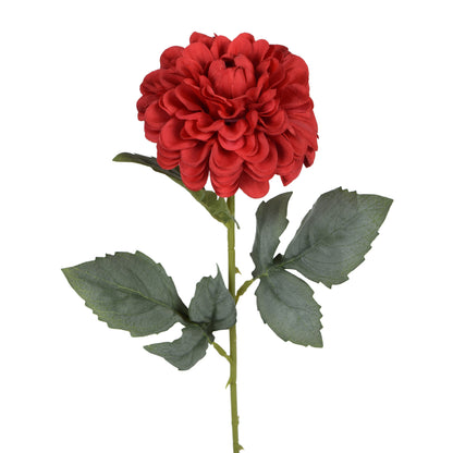 Tekodaalian kukkavarsi, 50 cm