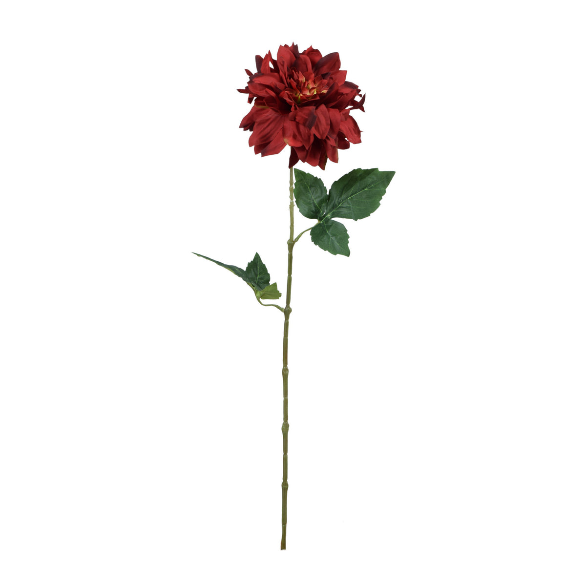 Tekodaalian kukkavarsi, 62 cm