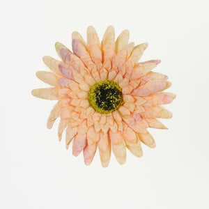 Tekogerberan kukkapää, 12 cm