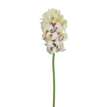 Tekohyasintin kukkavarsi, 56 cm