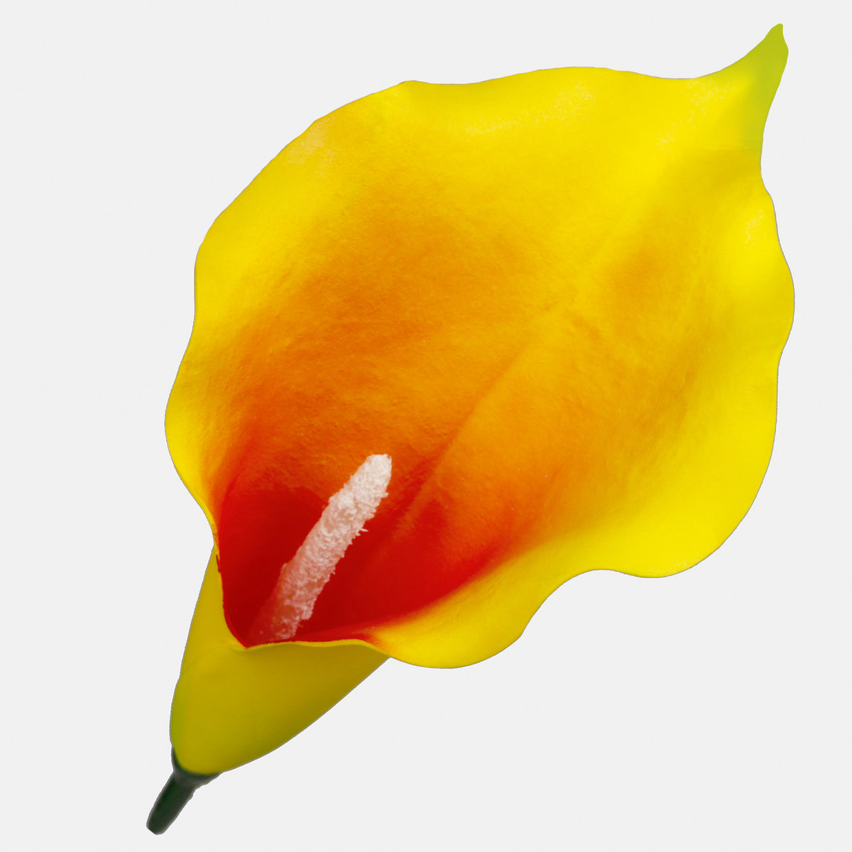 Tekokallan kukkapää, 20 cm