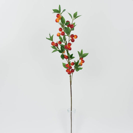 Tekokasvi, 2.5 cm