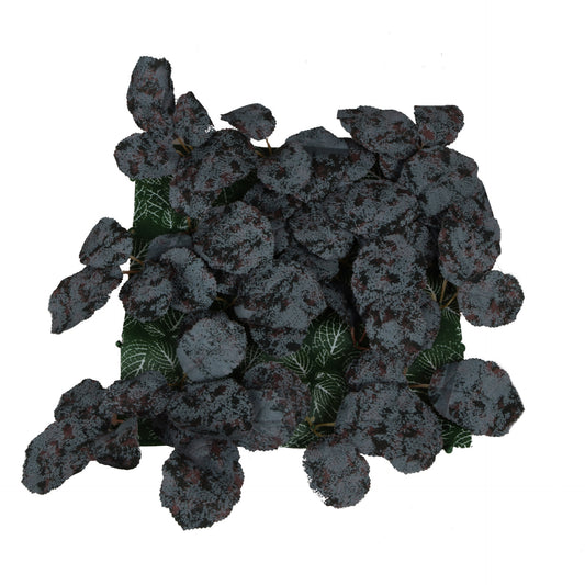 Tekokasvi, 25 cm