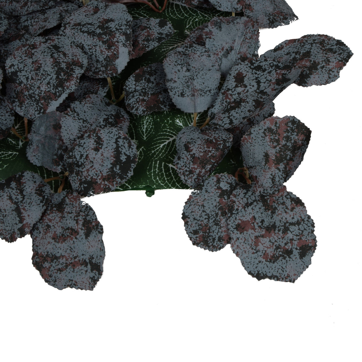 Tekokasvi, 25 cm