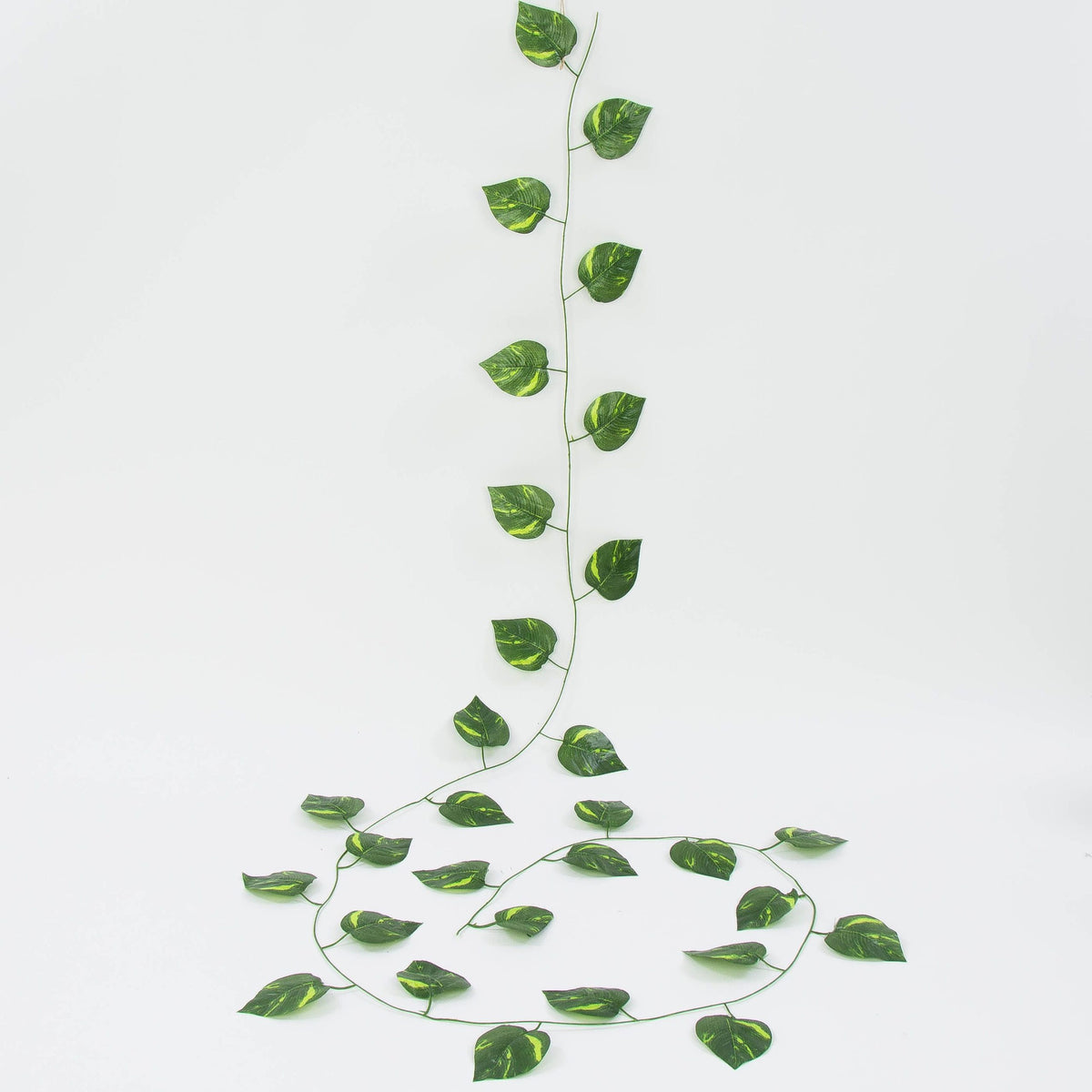 Tekoköynnös, 2.3 m