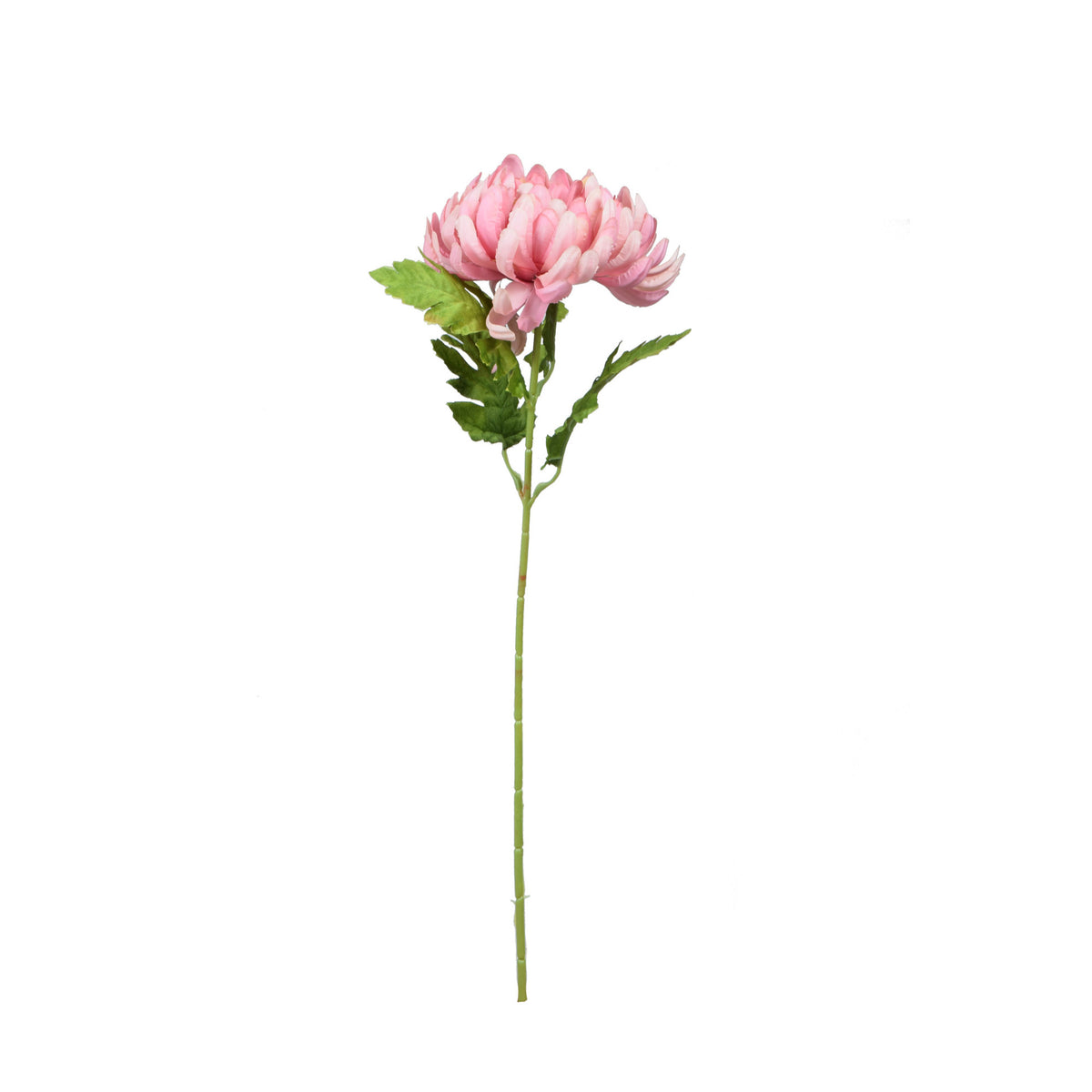 Tekokrysanteemin kukkavarsi, 57 cm