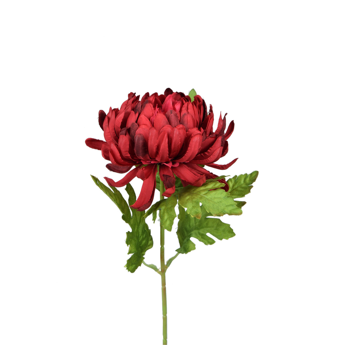 Tekokrysanteemin kukkavarsi, 57 cm