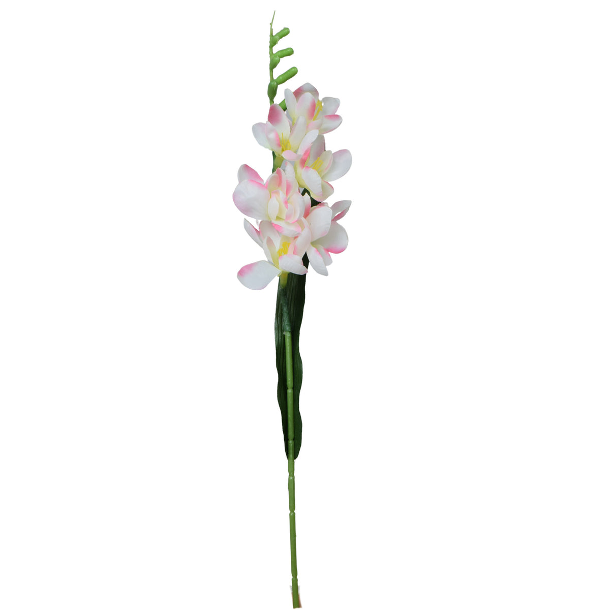 Tekokukka, 42 cm
