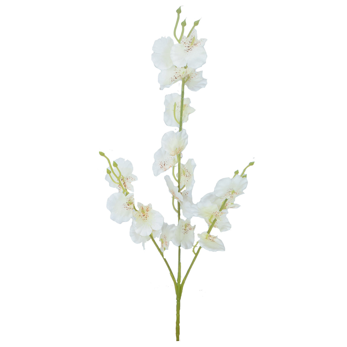 Tekokukka, 50 cm