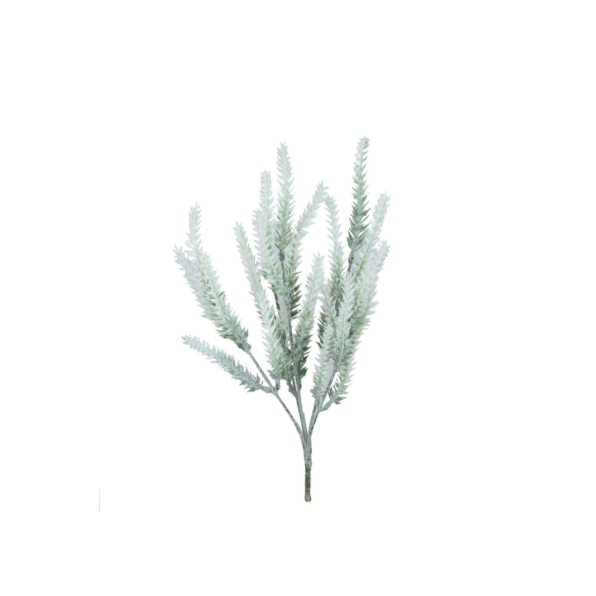 Tekolaventelin kimppu, 37 cm