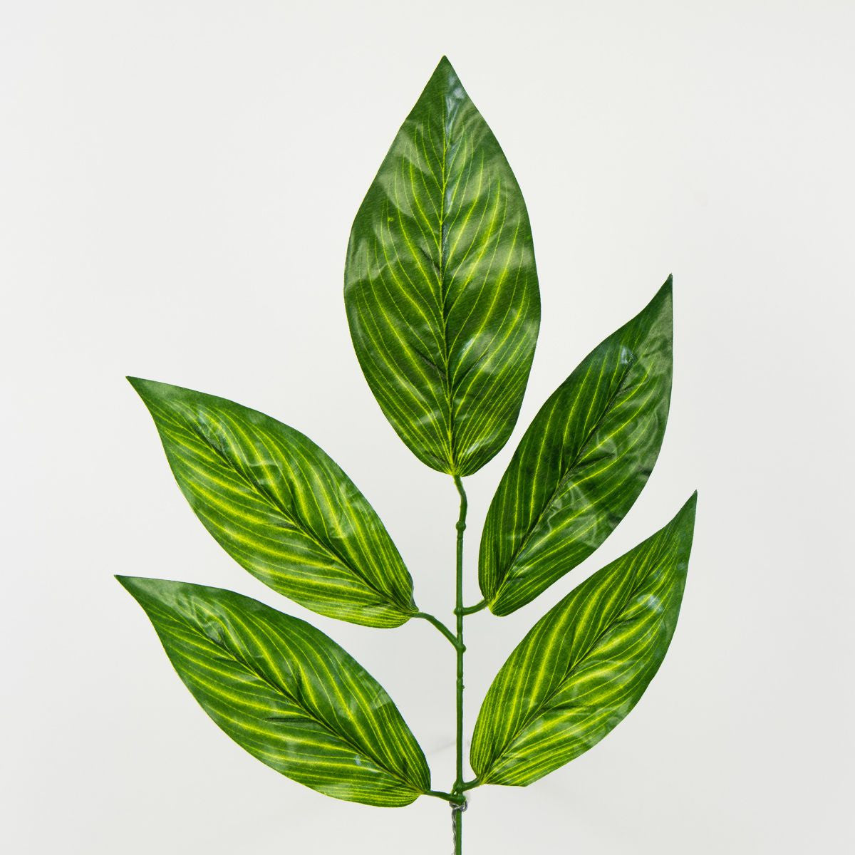 Tekolehti, 12 kpl