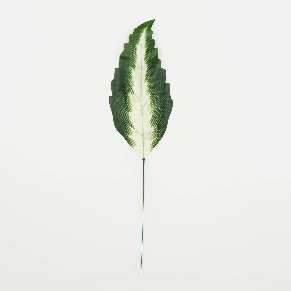 Tekolehti, 30 cm, 12 kpl